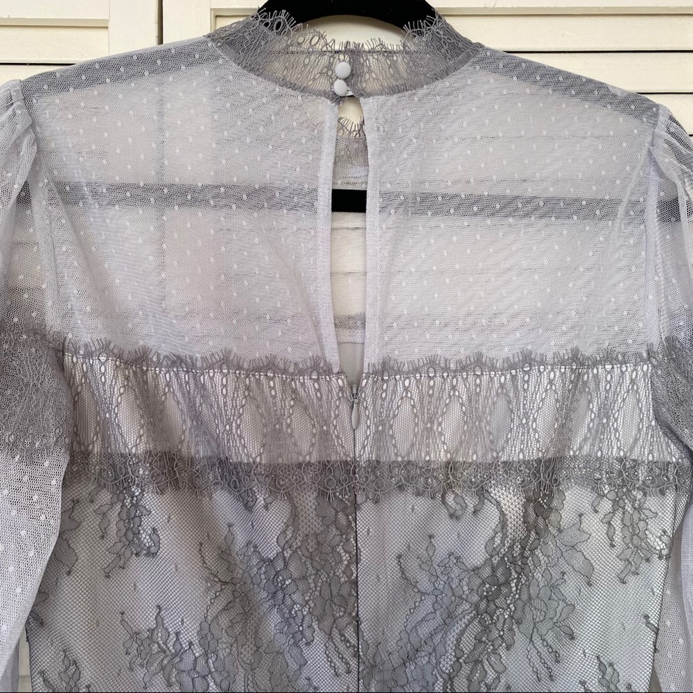 BCBG Maxazria Two-Tone Panel Lace Tulle Dress - Picture 6 of 10